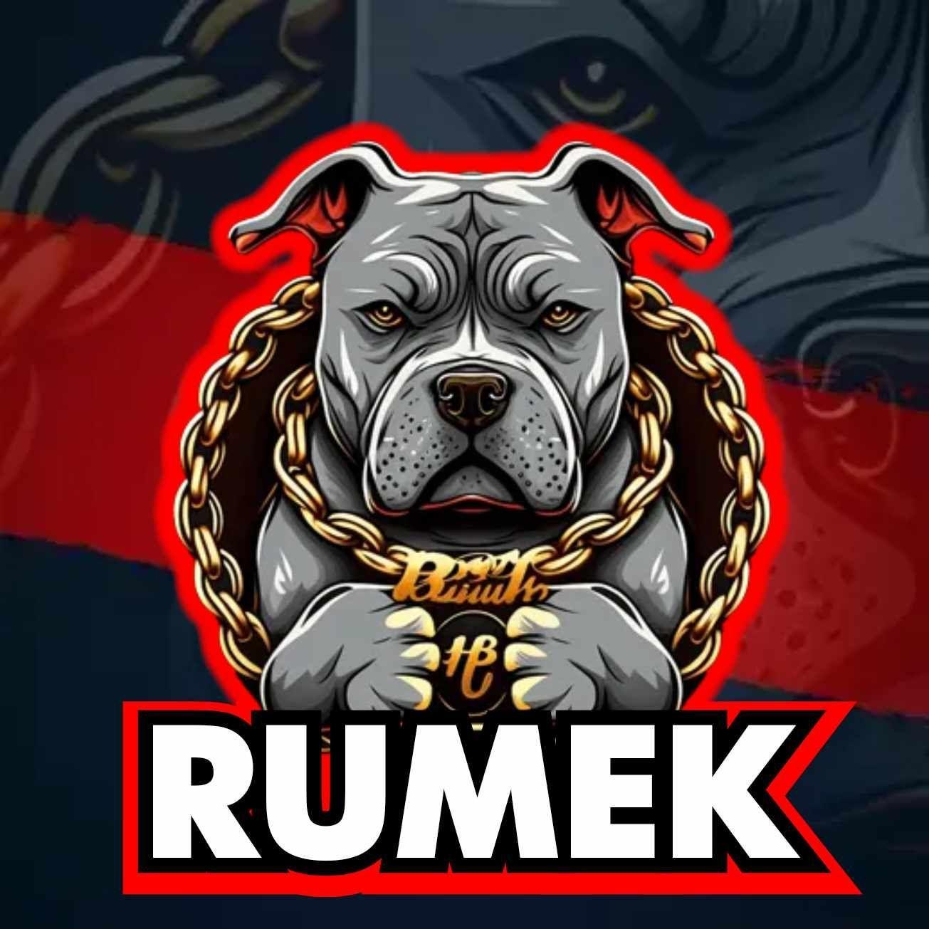 RumeeK avatar