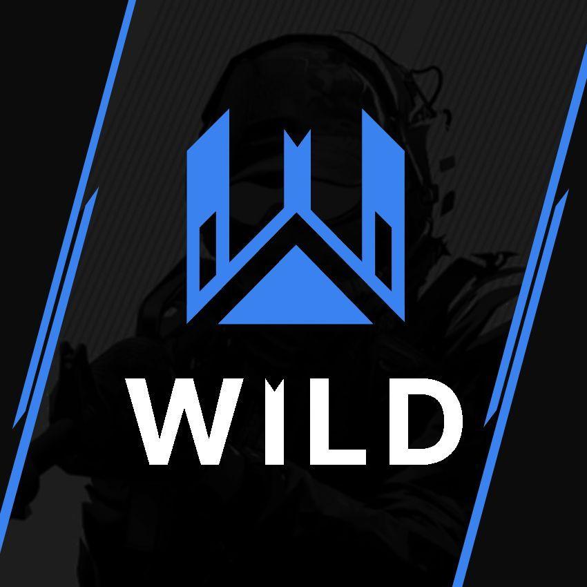 Italianets avatar