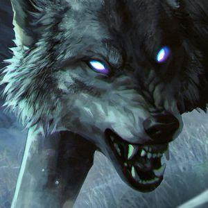 Player WinterWolf89 avatar
