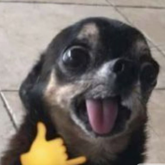v00-