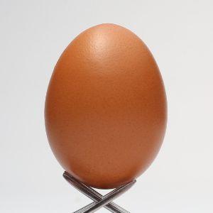 TableFeuille avatar