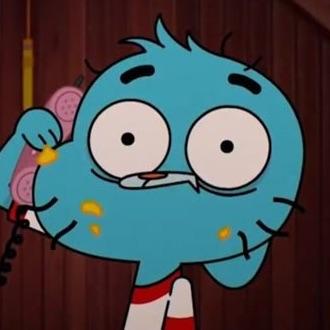 robinbob1n avatar