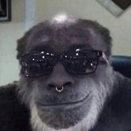 Septol228 avatar
