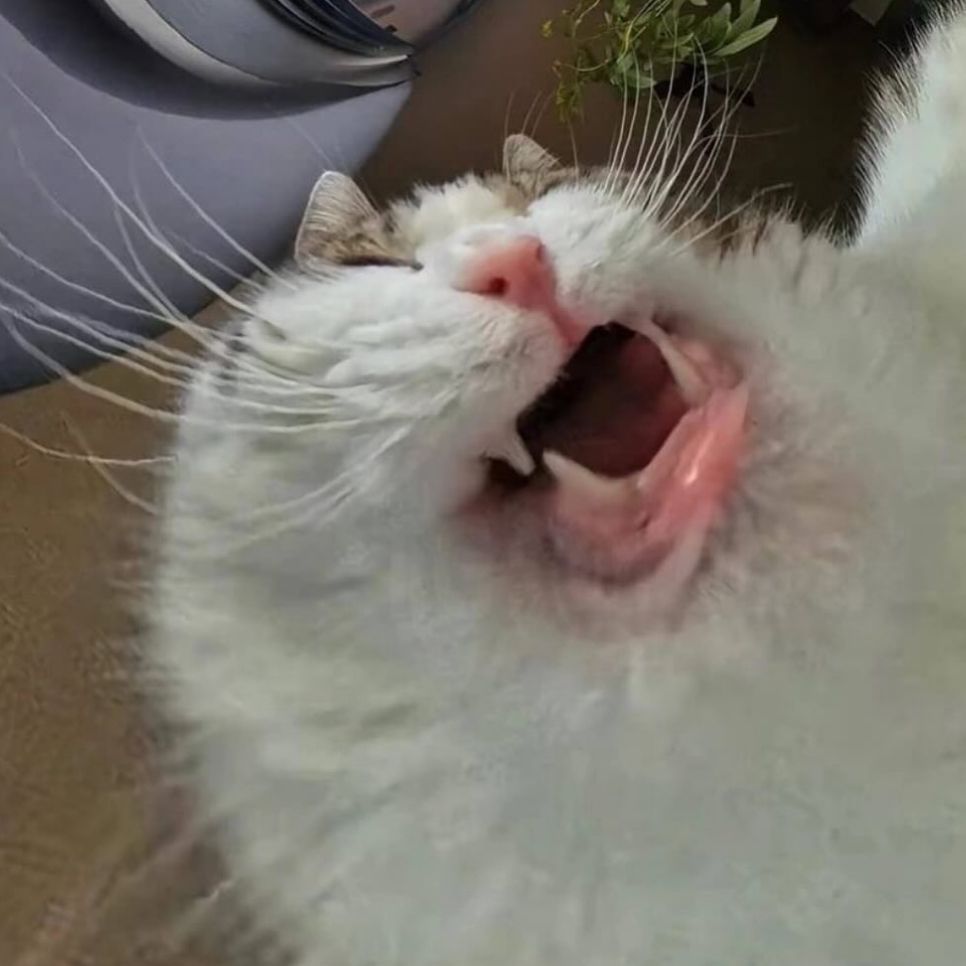 Bennya