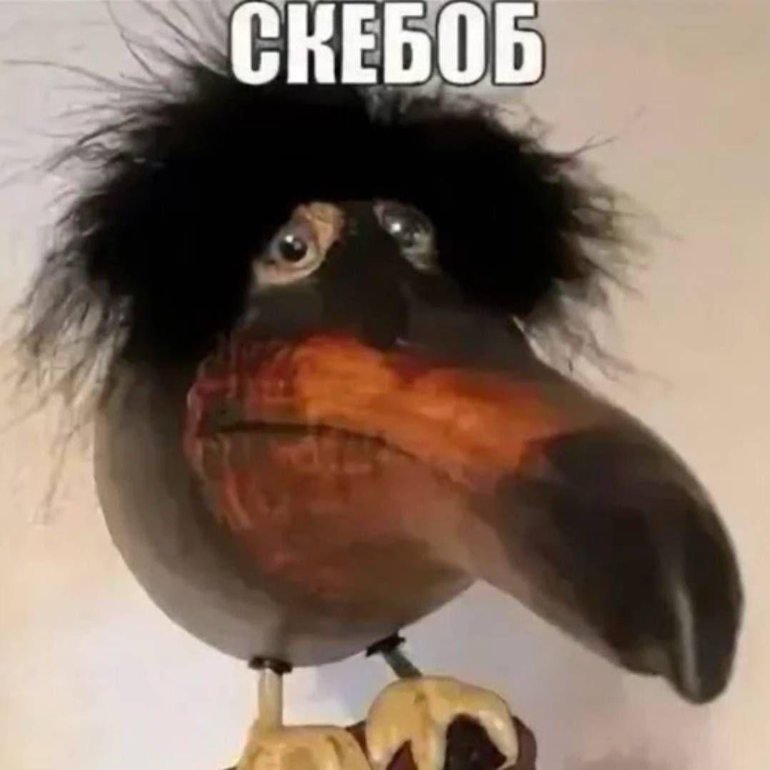 Trapinlie avatar