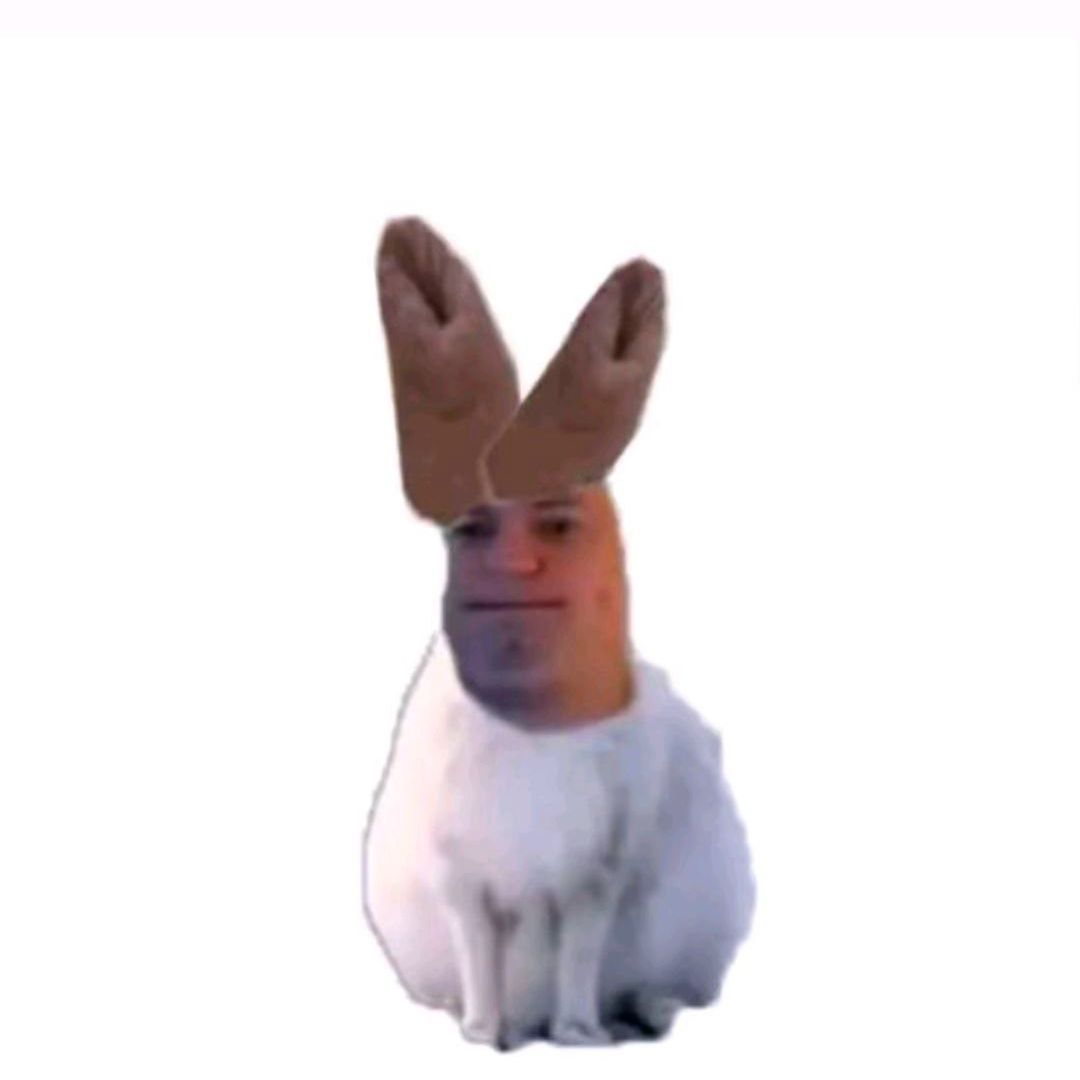 BI1zzzard FACEIT avatar