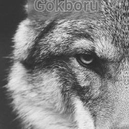 FGAGRO