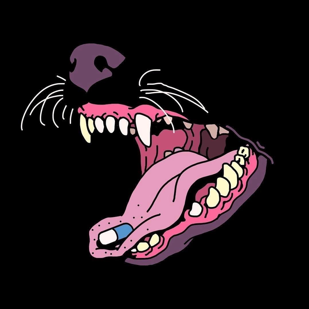 honki_ avatar
