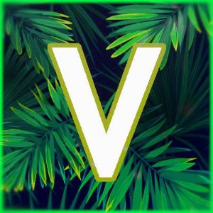 VixelTM FACEIT avatar