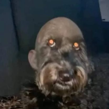TitanuAK47