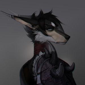 Player adm1ralfox avatar