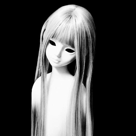 r3dw1ngs avatar