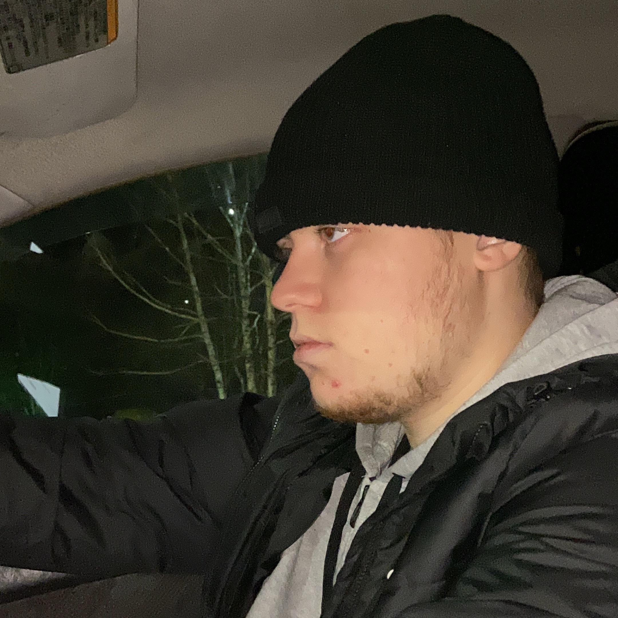 kuvshina avatar
