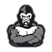 Player reallGorilla avatar