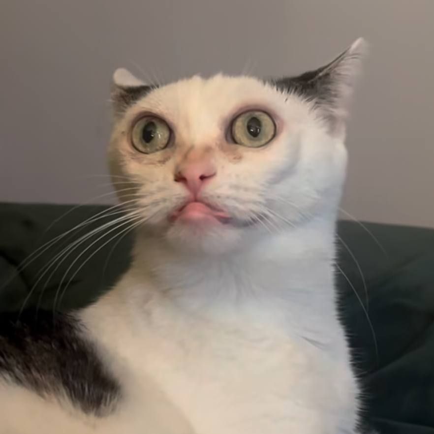 krepkiyoleh avatar