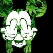 blankizz avatar
