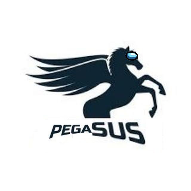 pegaSus