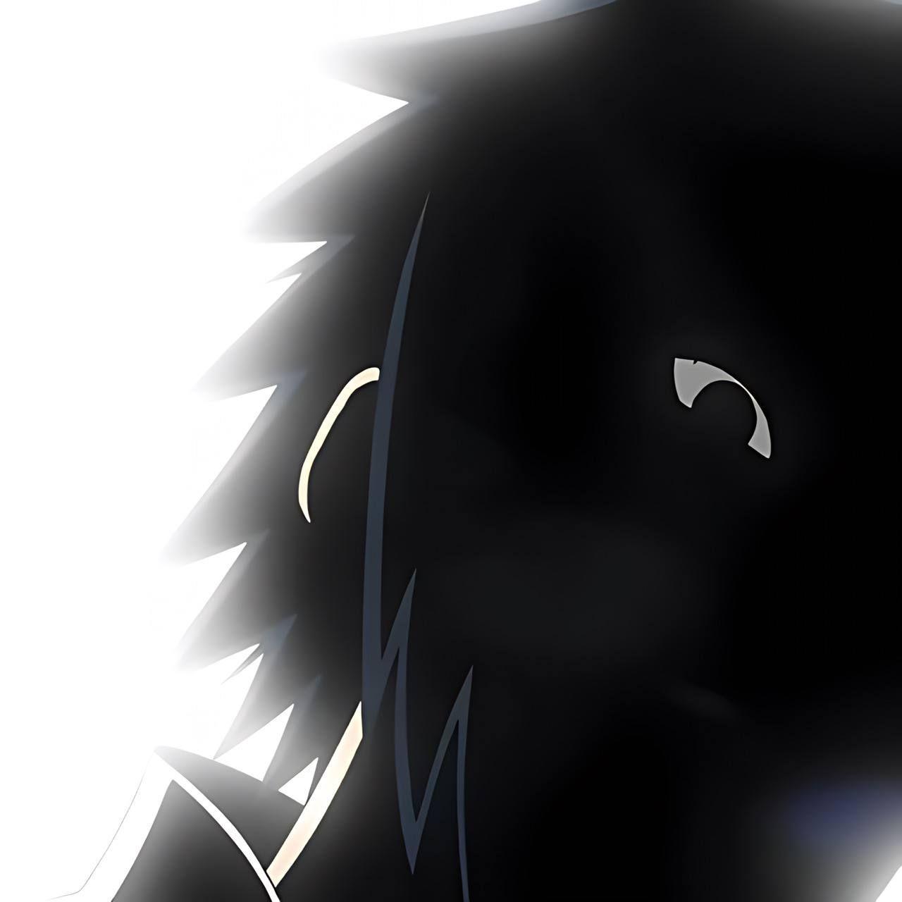 dmaplayer avatar