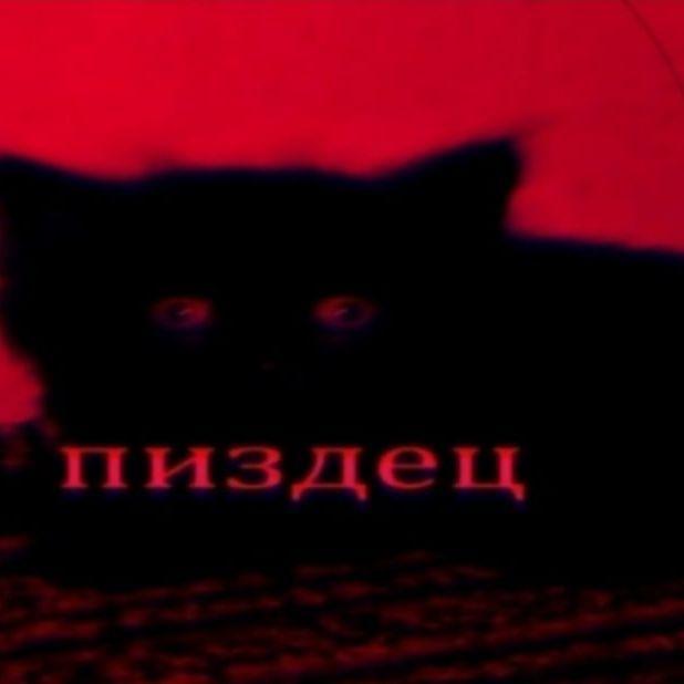 _Lugger_ avatar