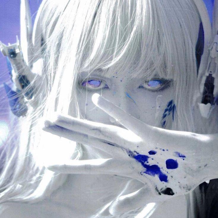 cachibtw avatar