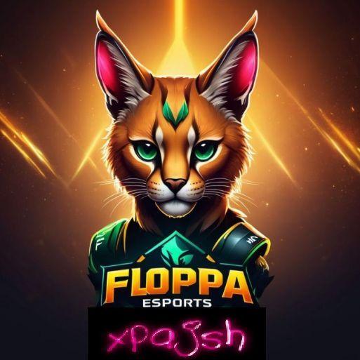 xpajsh avatar