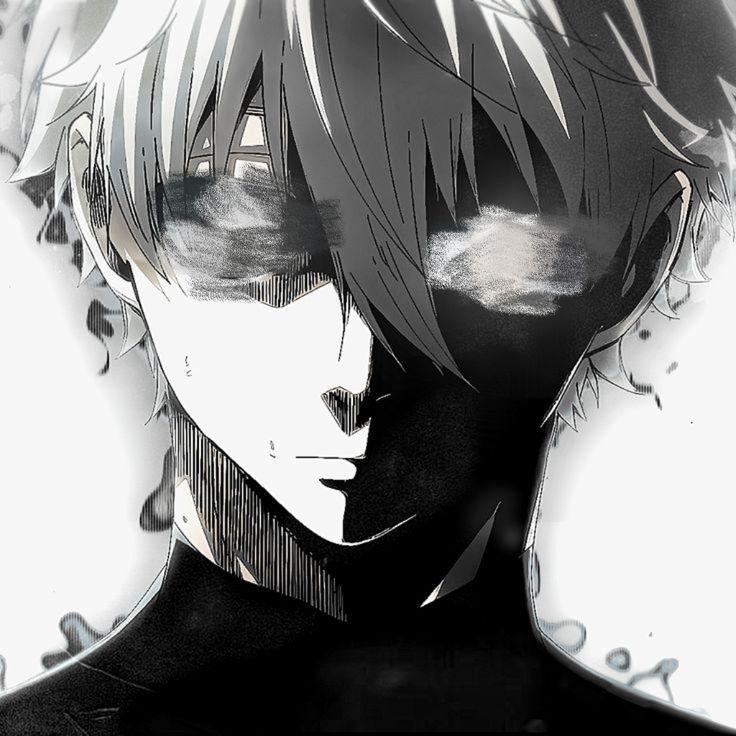 mishuof avatar