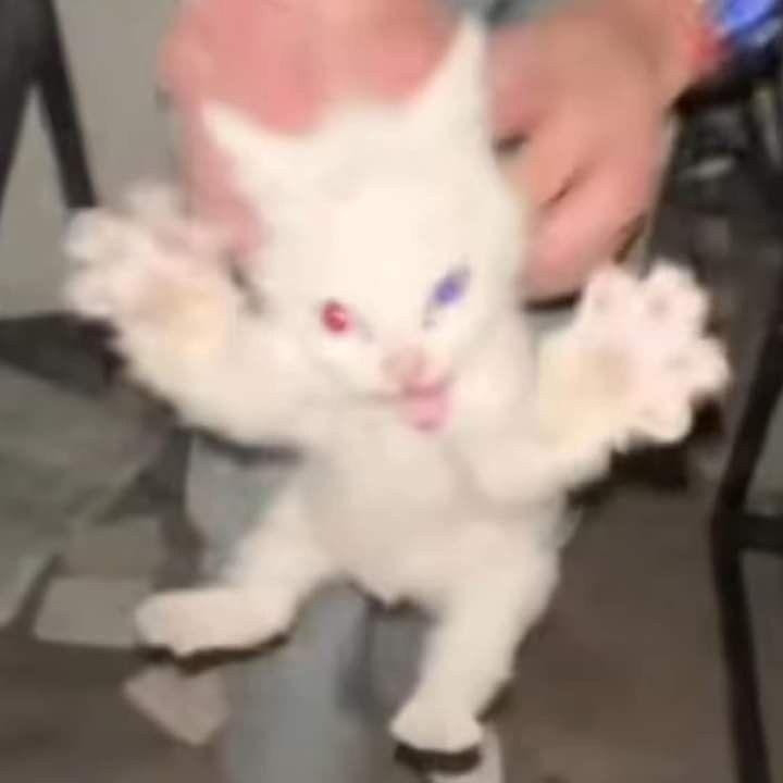 Toksi4 avatar