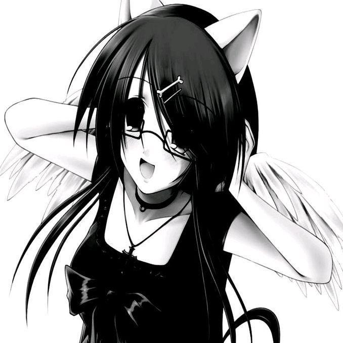 tommgypeek avatar