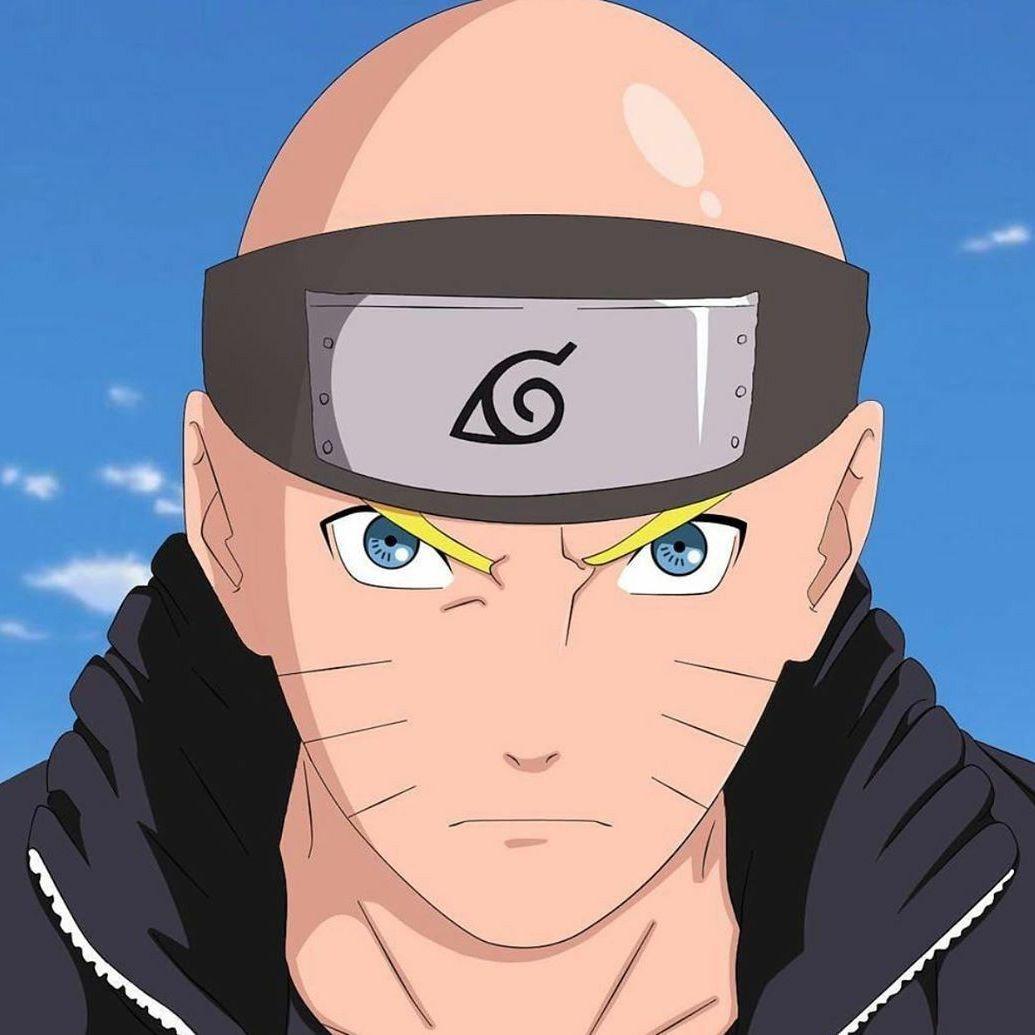 ripcaillou avatar