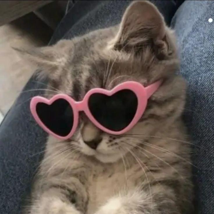 mvorinho avatar