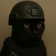 PimS0 FACEIT avatar