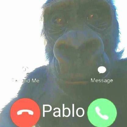 _4NkaTNL0_