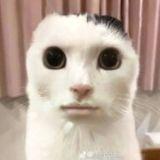 Blajasz avatar