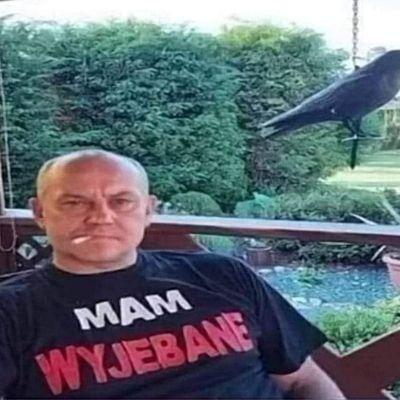 siwydzikpl avatar