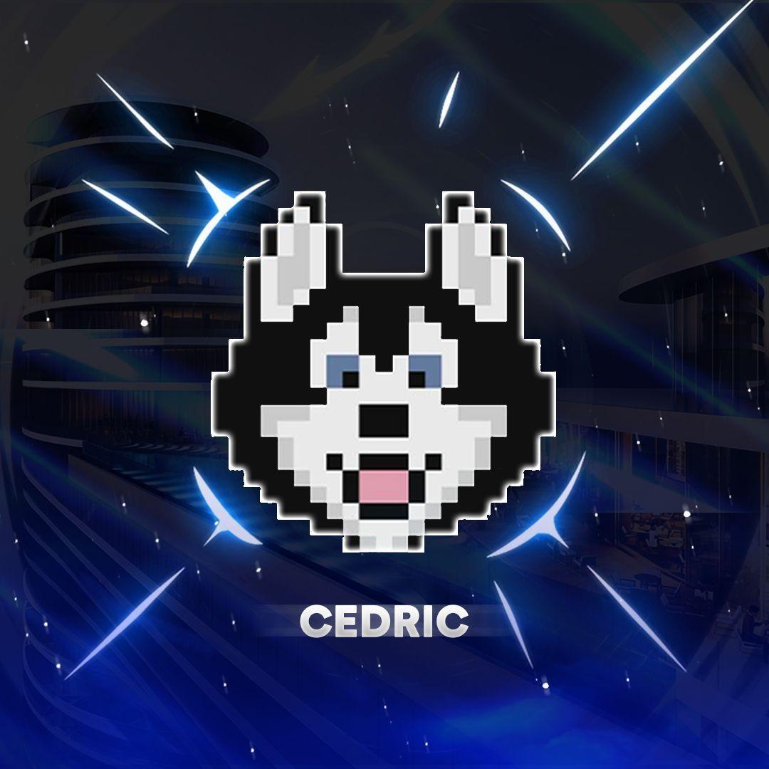 CedricR avatar