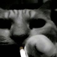 miszazaza avatar