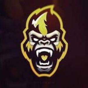 leokipper avatar