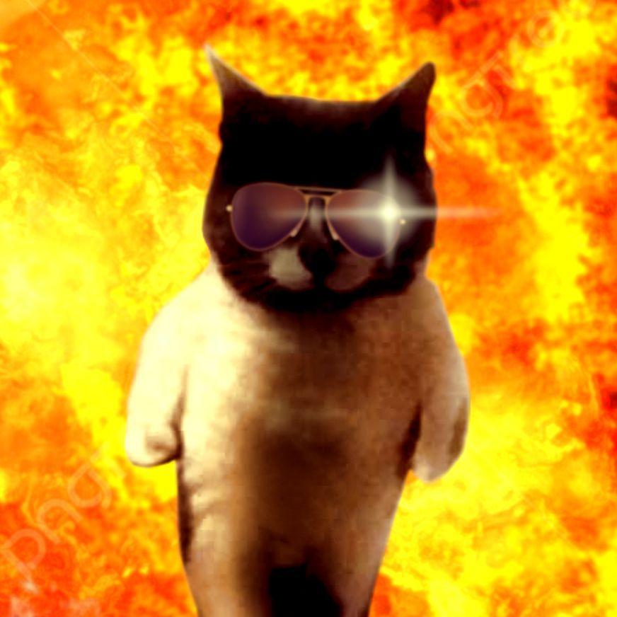 Lolikiukas avatar