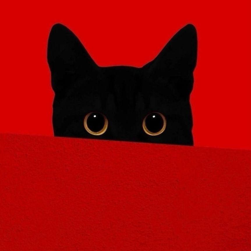 oscarvelas avatar
