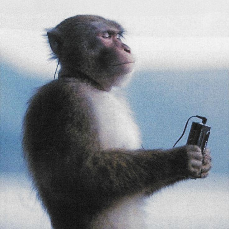 vahnoshka avatar