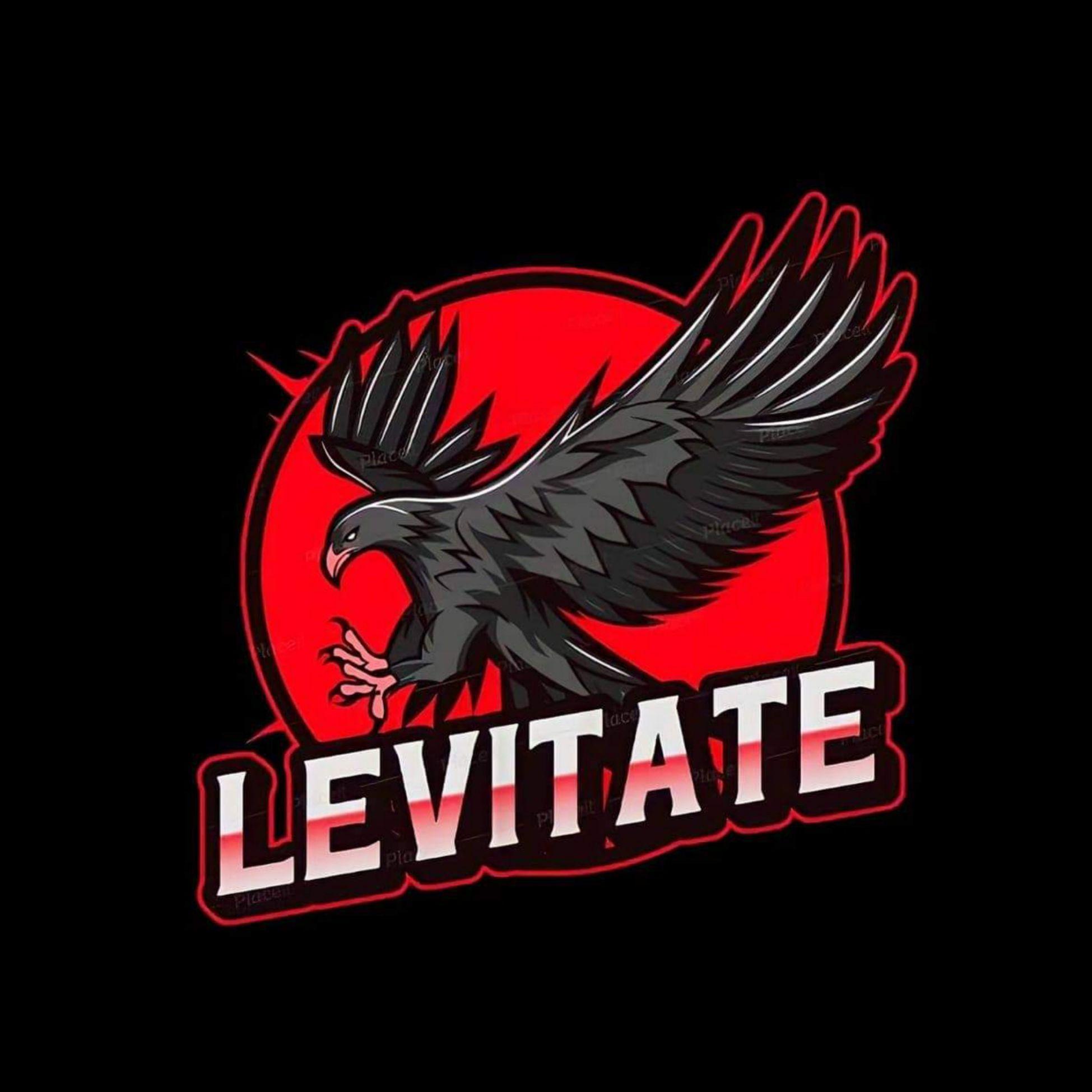 Player LEVITATEbtw avatar