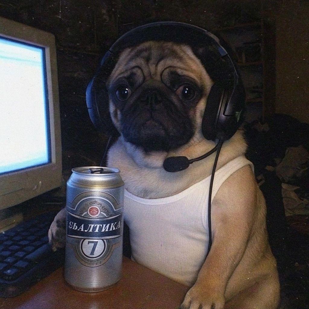 pivnoybob avatar
