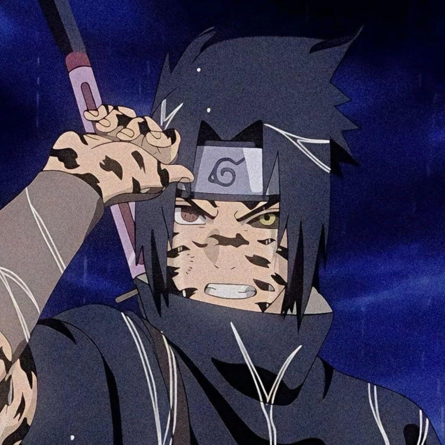 andr1312 avatar