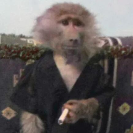 lugalkien avatar
