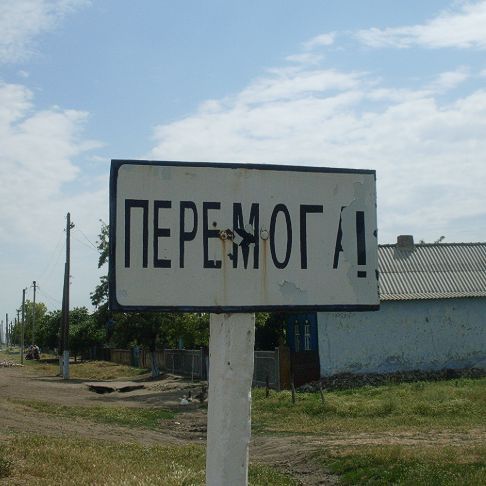 team_daiperemogu