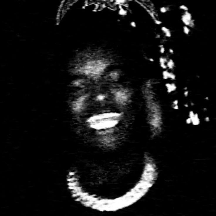 fearl3ss66 avatar
