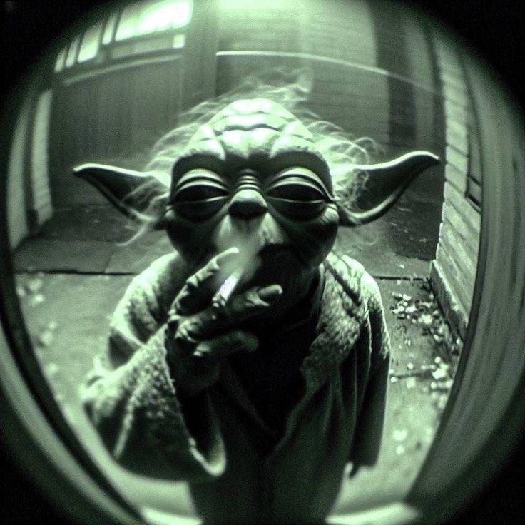 irshod avatar