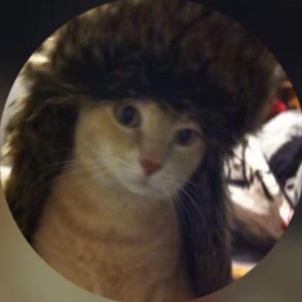kaktu5s avatar
