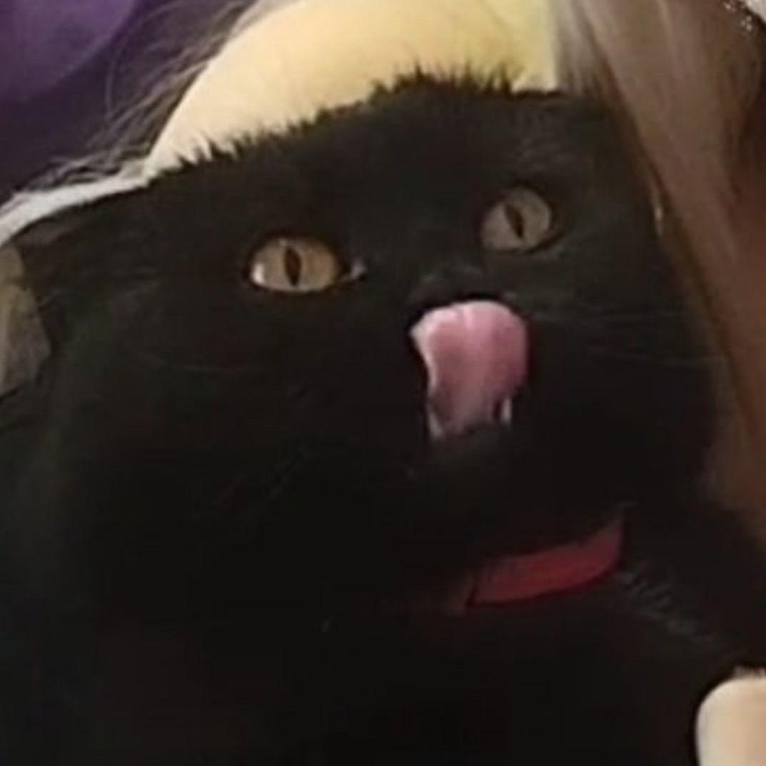 z3nnix avatar
