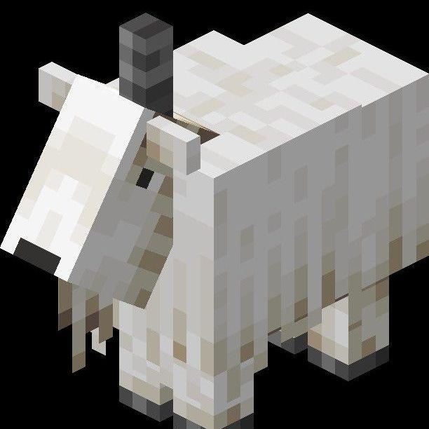 VityCZ avatar